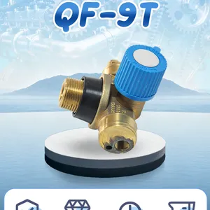 Seiko Brass Qf-9t Cylinder Valve for CNG Tank International Standard Universal Matching thumbnail-1