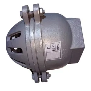 Gray Cast Iron Ductile Iron Flange or Screw Thread Foot Valve Bottom Valve Foot Valve for Water Pump thumbnail-6