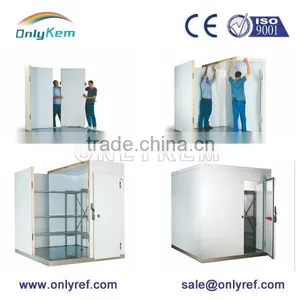 Blast Freezer for Fish Beef Meat Chicken thumbnail-3