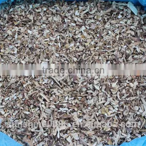 ISO ,HACCP Orgnic Porcini Mushroom thumbnail-2