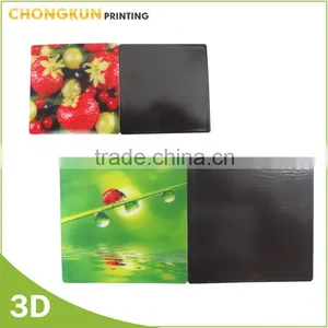 Hot Sale 3D Lenticular Printing Tourist Souvenir Fridge Magnet thumbnail-4