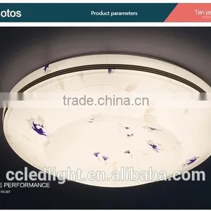 Hot Sales Round Ceiling Lighting Led ,bedroom Ceiling Light thumbnail-2