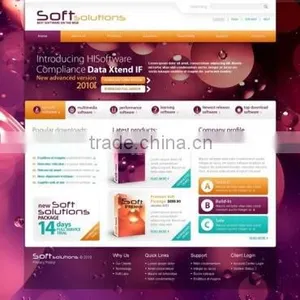 Custom Web Application Development thumbnail-5