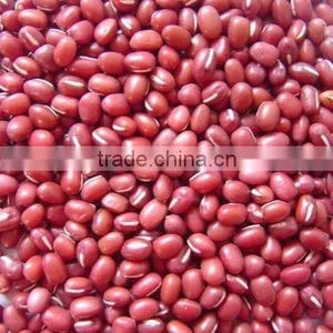 Bean thumbnail-1