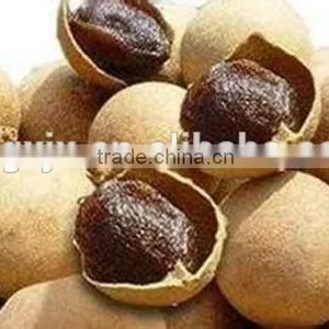 High Quakity Fruit Dryer Machine With Best Service thumbnail-4