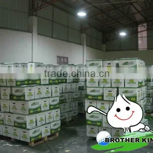 Buy Green Pomelo Fruit thumbnail-1