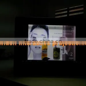 Glass Privacy Screen by Excellent Price thumbnail-1