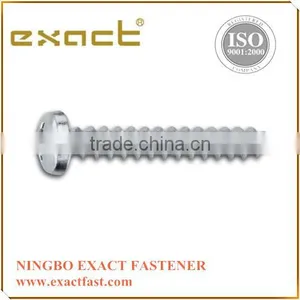 Tapping Screw Pan Head Screw High Quality Screws thumbnail-2