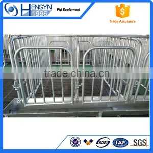 Pig Farm Pen Sow Gestation Crate thumbnail-2
