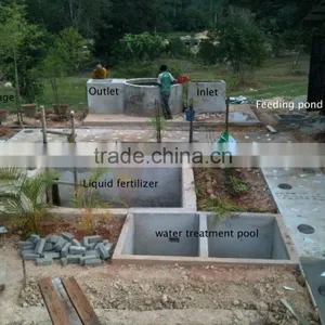 China Puxin Household 4m3 Biogas Anaerobic Digester thumbnail-6