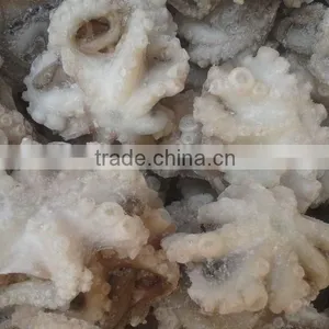 New Coming Frozen Baby Octopus 20-60g for Sale thumbnail-1