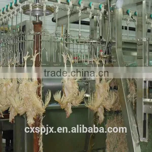 1000 Chicken Slaughter Line Slaughterhouse thumbnail-1