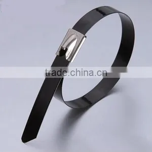 ISO Certificate,Hot Sale,Made In China,Ball Lock,Stainless Steel Tie thumbnail-5