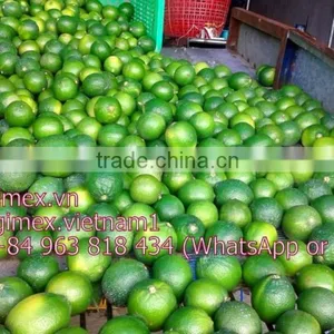 Fresh Lemon Vietnam thumbnail-1