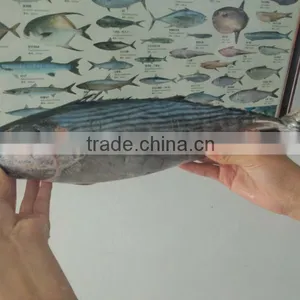 New Harvest Frozen Whole Round Bonito 1000g+ thumbnail-1