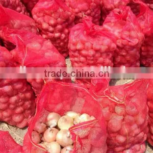 Fresh Onion ( Red - Yellow - White ) thumbnail-1