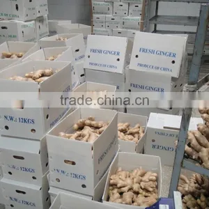 Fresh Air Dried Ginger thumbnail-5