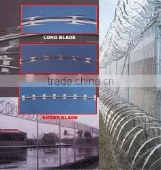 Stainless Steel Razor Ribbon Manufacturer thumbnail-1