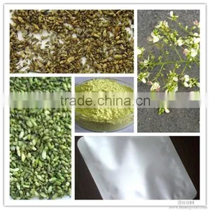 Plant Extract Sophora Flower Extract Powder5:1 /Robinia Pseudoacacia L.extract Powder With Robinin 95% thumbnail-2