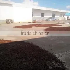 Guangxi Bobai Bozhou Native Product Co., Ltd. company overview - view 2 thumbnail
