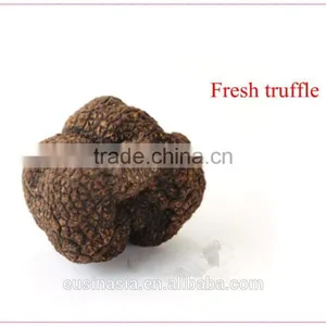 Matured Truffle Whilte Truffle Fresh Tuber Indicum thumbnail-1