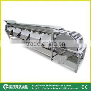 OG-606 CE Qualified Vegetable and Fruit Sorting Machine thumbnail-1