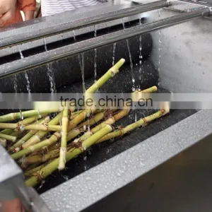Industrial High Efficient Fresh Ginger Potato Washer and Peeler Root Vegetable Washing and Peeling Machine Fish Skin Peeler thumbnail-4
