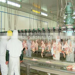 Equip for Poultry Slaughter of Chickens/slaughter Equipment /poultry Slaughter Line thumbnail-1