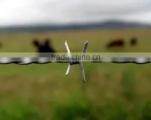 QIang Yu Factory Best Price Barbed Wire thumbnail-2