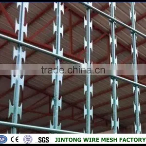 Concertina Wire Coils Razor Wire Mesh thumbnail-2