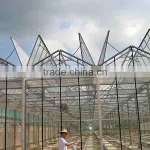 10mm Cheap Polycarbonate Agricultural Greenhouse thumbnail-2