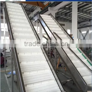 GP-II Model Pre-treatment Production Line For Vegetable Dehydration Line thumbnail-3