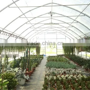 Agricultural Greenhouses Used Sale Green House thumbnail-2