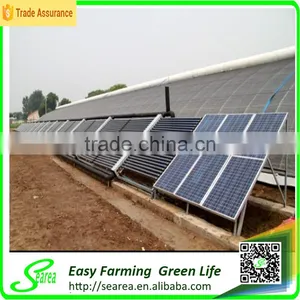 Hot Sale Small Size Agriculture Solar Greenhouse Farms for Sale thumbnail-1