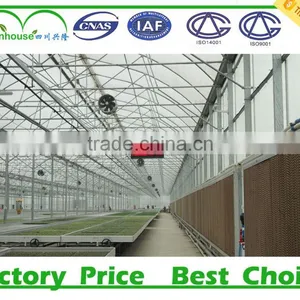Low Cost Tunnel Plastic Greenhouse for Sale thumbnail-3