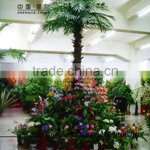 High Imitation Arificial Palm Tree With Cheap Price Palm Tree for OUTDOOR Decoration thumbnail-5