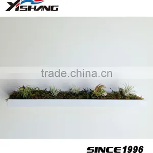Wholesale Plant Pot Metal Living Room Wall Decor thumbnail-3