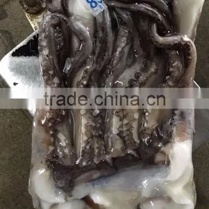 Raw Clean Fresh Vietnam Squid Meat With Large Stock thumbnail-1