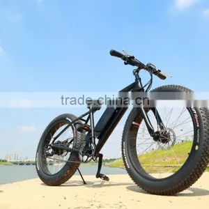 Best Selling 26 Inch Electric Bike Easy Ride Brushless Hub Motor Fat Tire Electric Bike thumbnail-6