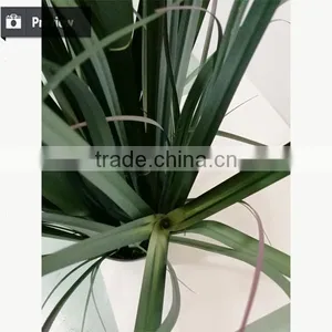 Wholesale Artificial Grass Synthetic Potted Grass Onion Grass With Bulrush thumbnail-5