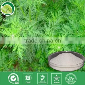GMP Factory Artemisia Annua Sweet Wormwood Herb Artemisia Carvifolia 98% 99% White Crystalline Powder Cure Malaria thumbnail-3