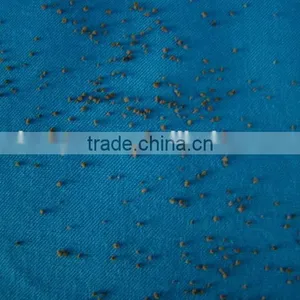 Single Herb Extract Granule Single Herb Granule thumbnail-2