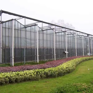 Hydroponic PC Sheet Greenhouse With Irrigation/Fertilization System thumbnail-1
