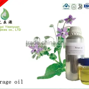 Borage Seed Extract Oil thumbnail-3