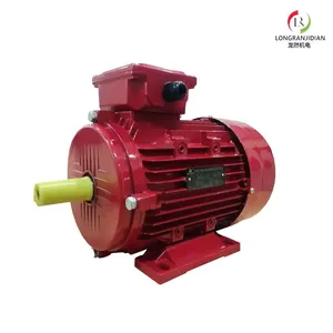 Ie3 Premium Efficiency Electric Motor thumbnail-4