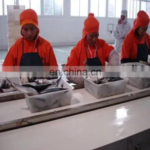Commercial Canned Mackerel Fish Making Plant thumbnail-4