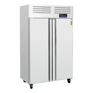 European Style Upright Double Big Door Chiller or Freezer Horizontal Meat Kitchen Refrigerators Freezers thumbnail-1