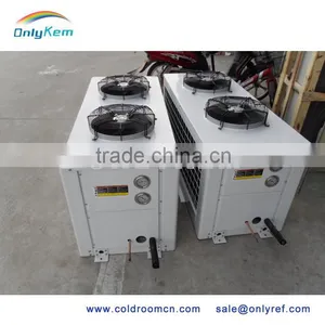 Emerson Copeland Compressor Condensing Units for Cold Room thumbnail-5