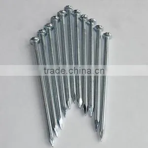 Polished Common Nails/ Common Iron Nail /common Wire Nail thumbnail-2