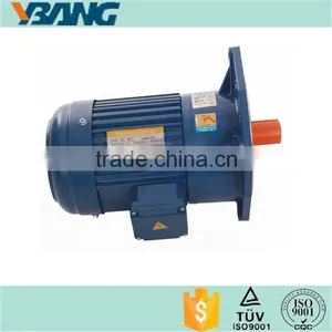 Low RPM IE 2 Efficiency Geared Motor 220v thumbnail-1